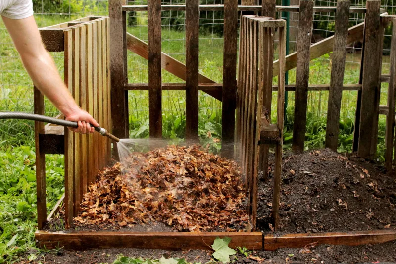 humidifier des feuilles mortes quoi mettre dans un compost pour plus de carbone