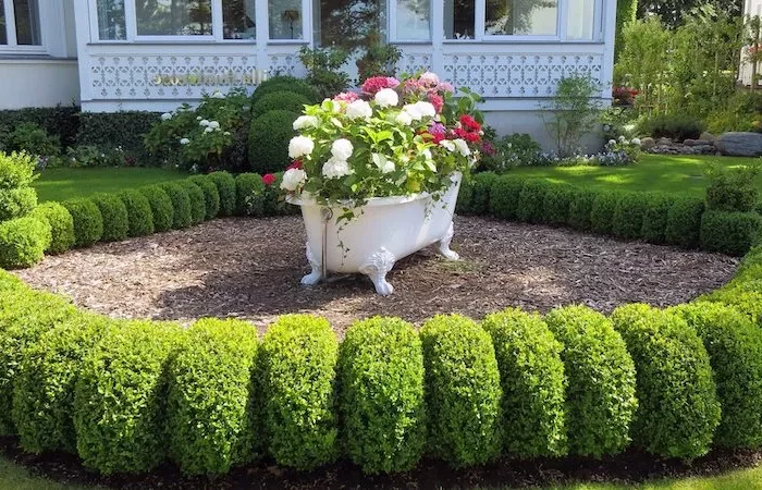 la meilleure période de l'année pour planter des arbustes persistants haie basse devant une maison