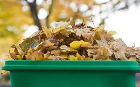 liste de ce qu on peut mettre dans un composteur feuilles mortes allant au composte