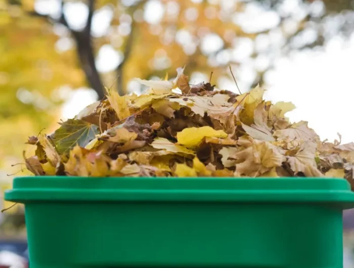 liste de ce qu on peut mettre dans un composteur feuilles mortes allant au composte