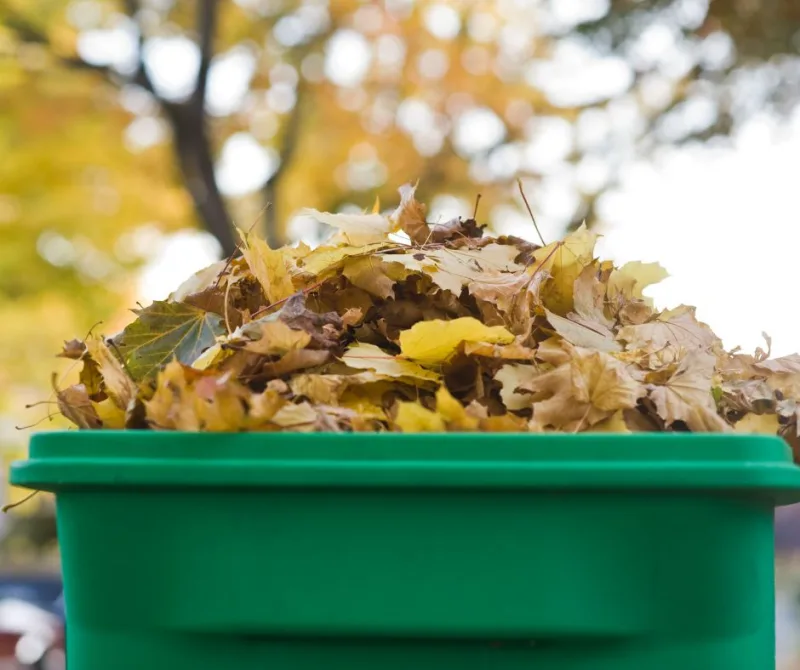 Passez vos journaux dans un broyeur de papier pour créer du compost