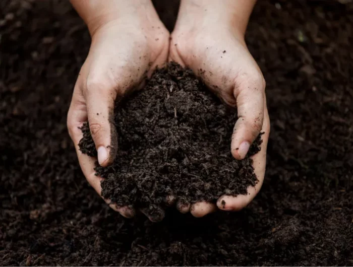 mains qui tiens composte quelle est la différence entre le terreau et le compost