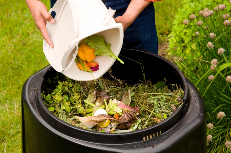 mettre des produits dans un compost jardin