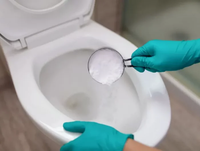 nettoyer une toilette tres encastre les methodes efficaces