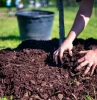 paillage potager hiver compost et copeaux de paillage exemple paillis organique biodégradable