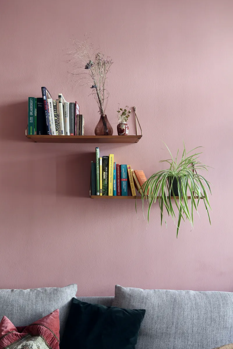 peinture murale rose canape gris etagere bois rangement plantes vertes