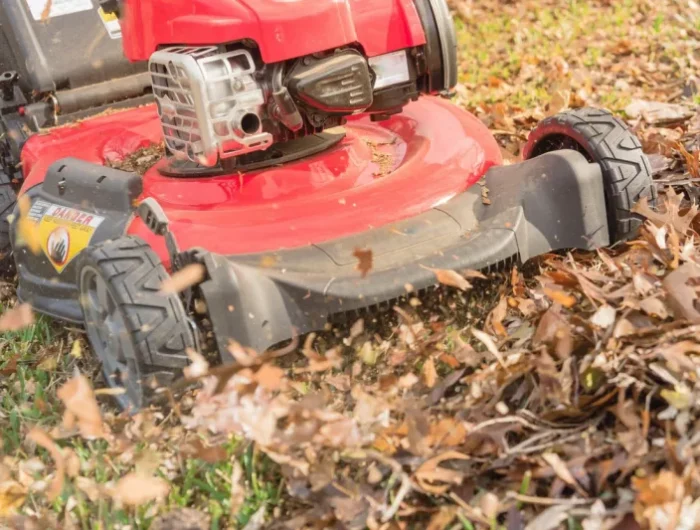 peut in mettre des feuilles mortes dans le potager paillis feuilkles mortes broyées