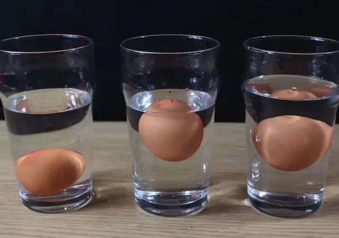 peut on manger un œuf qui flotte trois verres d'eau