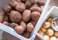 Comment conserver les pommes de terre en appartement sans qu’elles germent ?