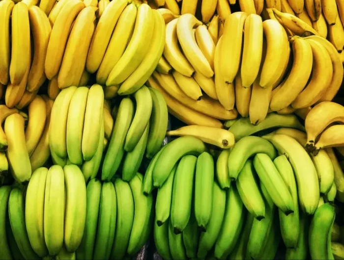photo des bananes jaunes et verts