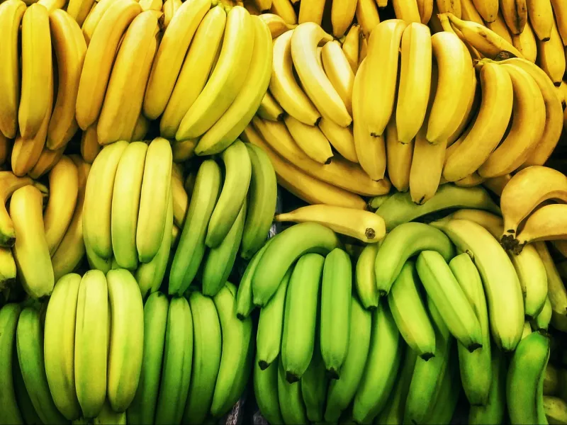 imagen de plátanos amarillos y verdes