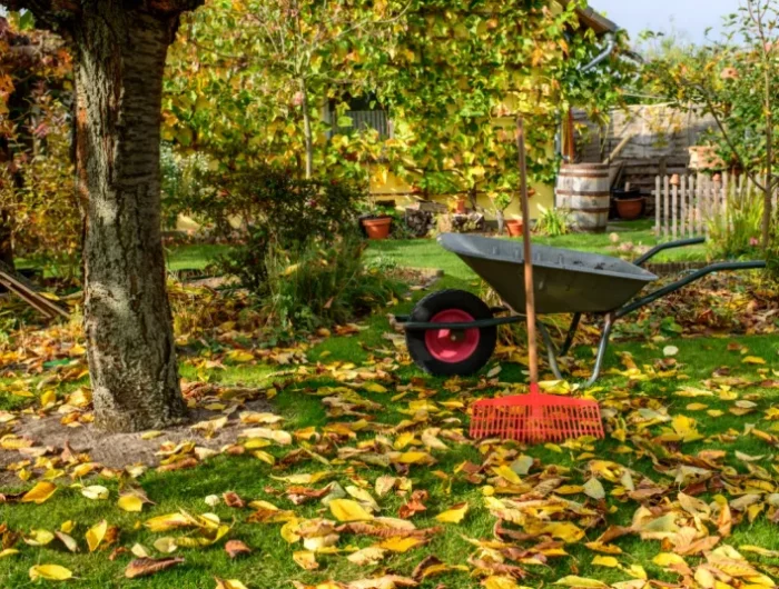 planter au jardin en novembre cour et maison en automne avec outils de jardinage