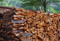 Quelle est la différence entre poêle à bois et poêle à granulés ?