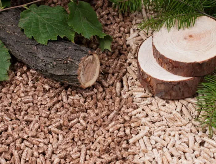 poele a granule avis consommateur quelques tranches de bois sur un tapis de granules
