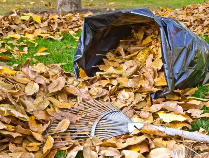 pourquoi il ne faut jamais bruler les feuilles mortes dans le jardin
