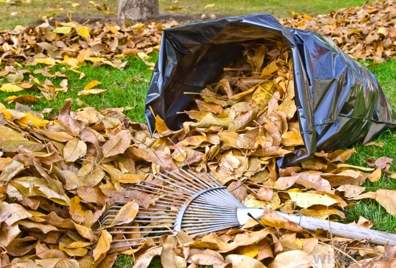 pourquoi il ne faut jamais bruler les feuilles mortes dans le jardin