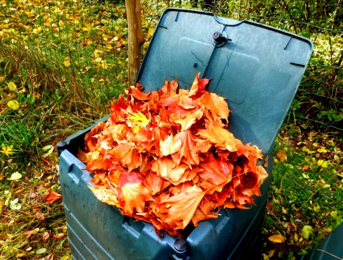 quand mettre les feuilles mortes au potager