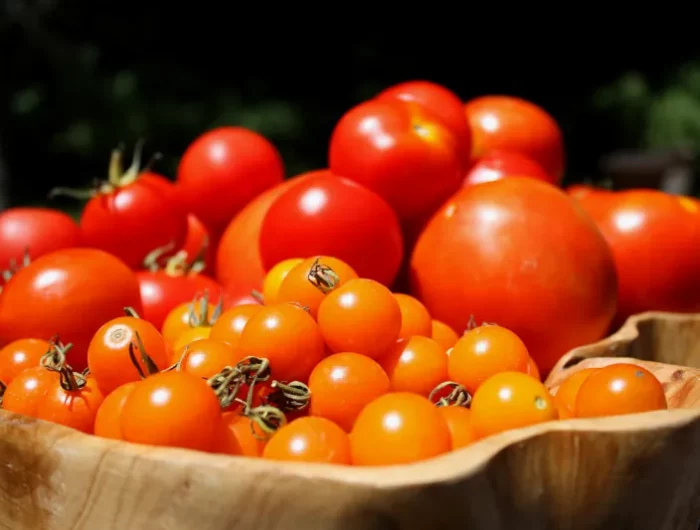 que faire des tomates fraiches en fin saison