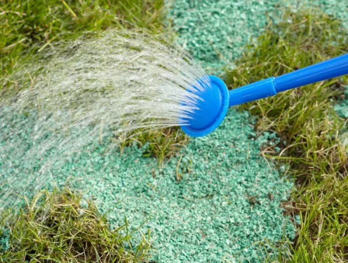 que mettre au sol pour eviter les mauvaises herbes artifice engrais chimique epase par une main