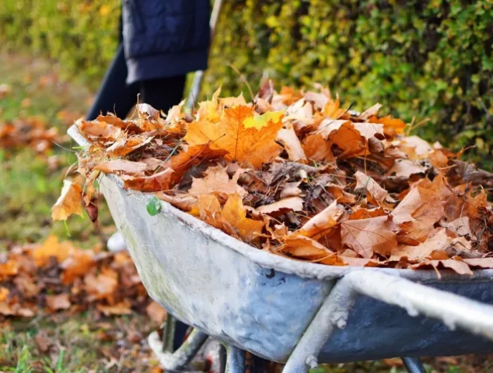 que mettre dans le composteur quelles feuilles mortes dans le compost