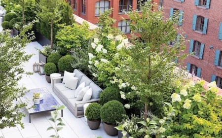 quel arbuste persistant en pot mi ombre choisir pour une jolie terrasse terrasse pleine de vegetation planche blanche