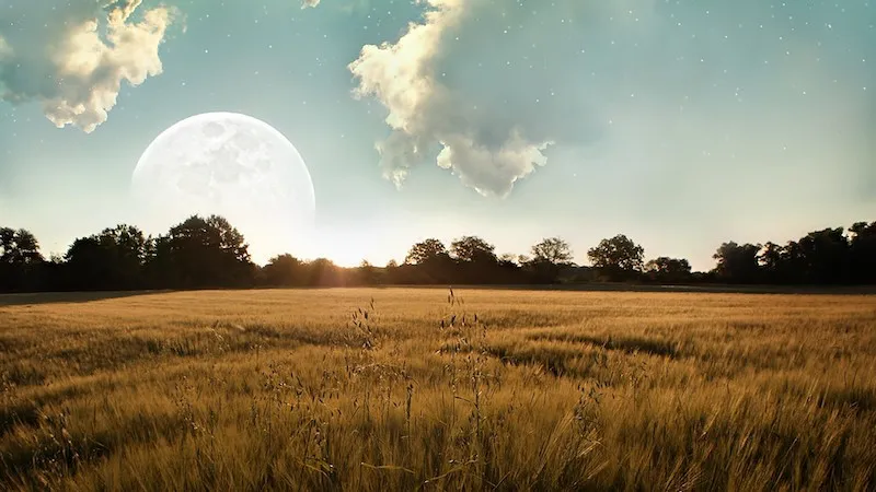 what a moon to sow the seeds fields of wheat to the moon