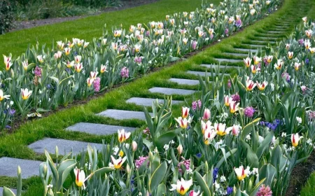 quelle plantes supporter d'être dehors l'hiver tulipes jacinthes autour dun sentier