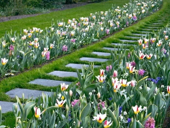 quelle plantes supporter d'être dehors l'hiver tulipes jacinthes autour dun sentier