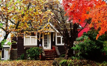quels arbres tailler absolument en automne cour de maison aux fruitiers en automne
