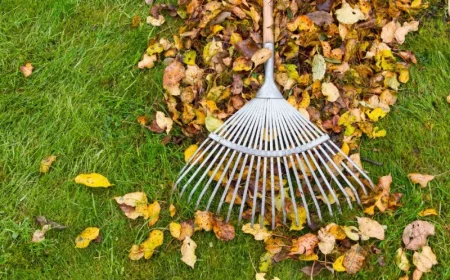 rateau astuce pour ramasser les feuilles mortes broyage à la tondeuse