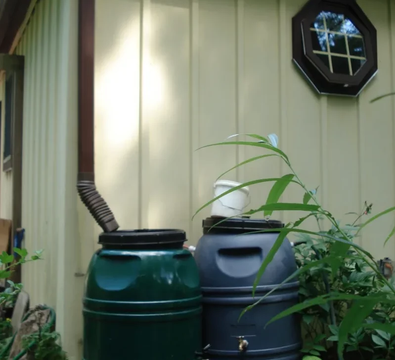 récupérateurs d eau de pluie tonneaux en plastique près d une maison