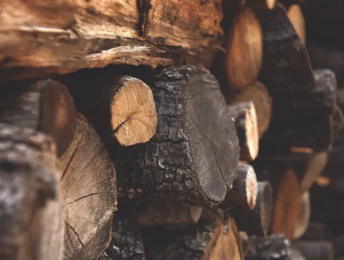 reconnaitre les essences de bois de chauffage quel bois de chauffage écologique choisir