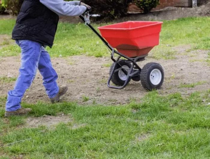 refaire une pelouse sur une ancienne jardinage outils equipement gazon