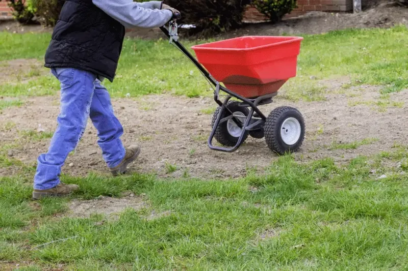 refaire une pelouse sur une ancienne jardinage outils equipement gazon