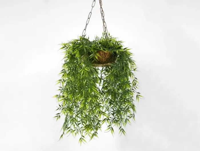 suspension plante support anneaux metal pot noix de coco panier