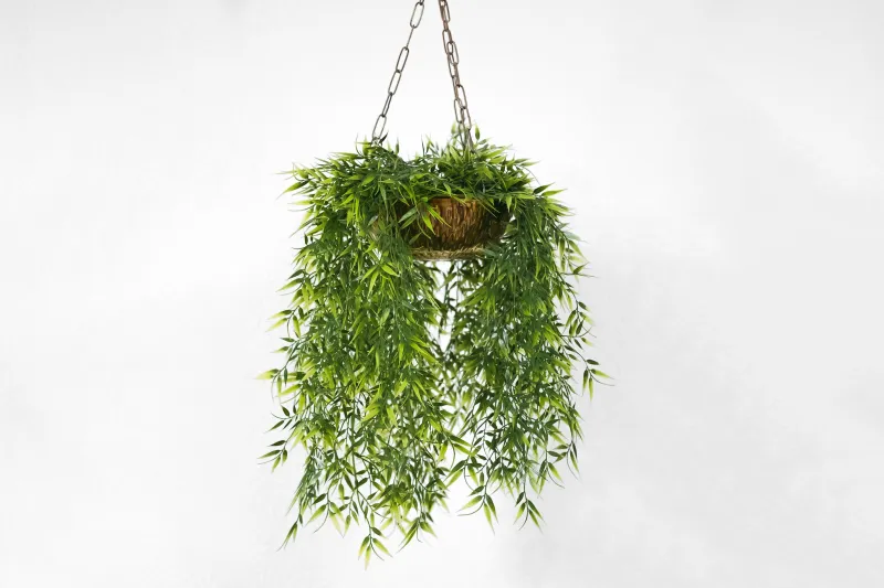 suspension plante support anneaux metal pot noix de coco panier
