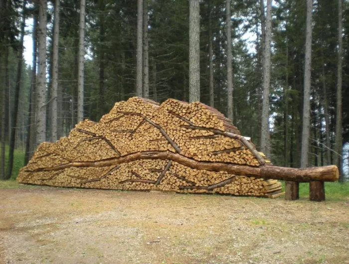 tas de bois coupe range en forme de courone et tronc horizontal a la foret