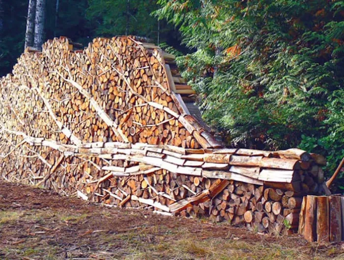 tas de bois coupe range en forme de courone et tronc horizontal a la foret et une hache