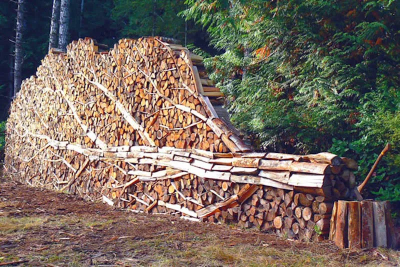 tas de bois coupe range en forme de courone et tronc horizontal a la foret et une hache