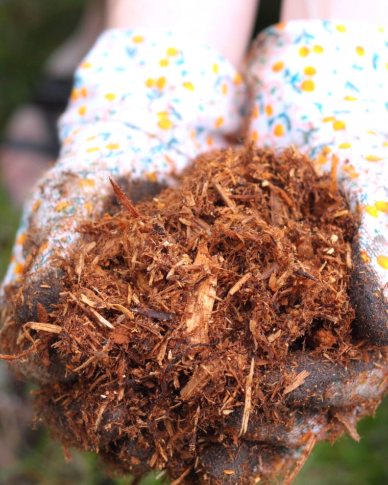 utilisation du compost pur dans le jardinage