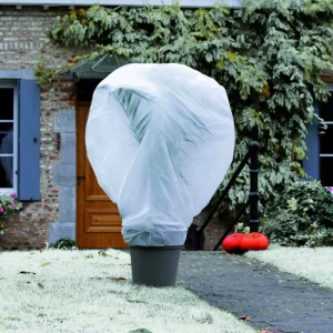 Recommandé par les experts : À quel moment et comment installer un voile d'hivernage dans le jardin ?