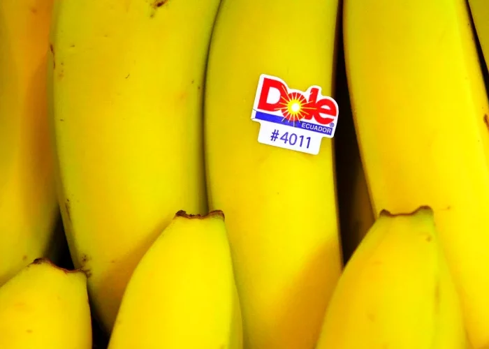 pourquoi y a t il des étiquettes sur les fruits bananes