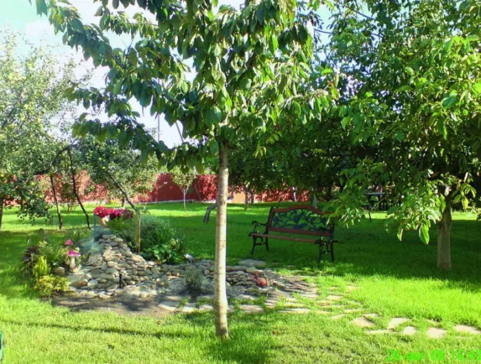 quel arbre pour sol argileux et humide fruitiers devant maison