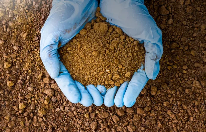 qu'est ce qui pousse dans une terre argileuse sol argileux entre mains en gant bleus