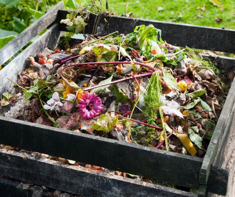 bac à compost moucherons comment éloigner les moucherons du compost tenir à côté