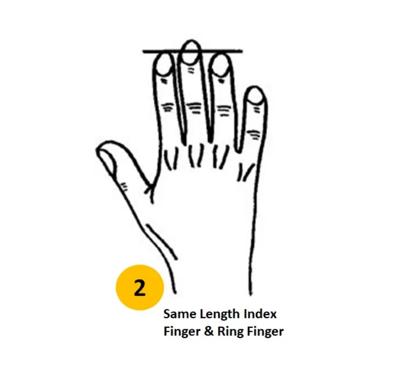 ce que la longueur des doigts revele indexe et anulaire la mame taille