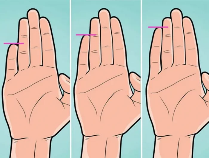 ce que la longueur relative des doigts revele sur votre personnnalite 3 mains