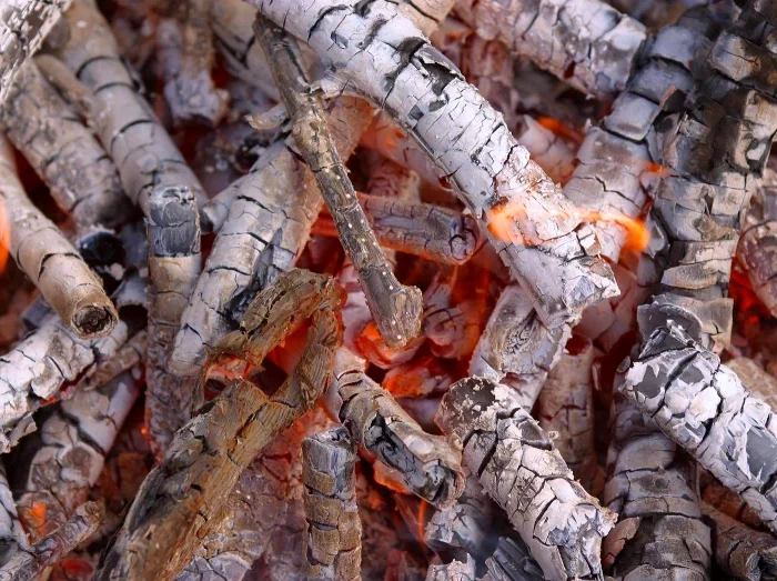 cendres de bois feu utilisation dans le compost jardin