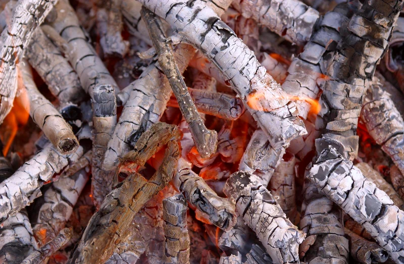 cendres de bois feu utilisation dans le compost jardin