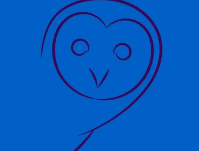 chouette dessinee aux traits fonces sur fond bleu